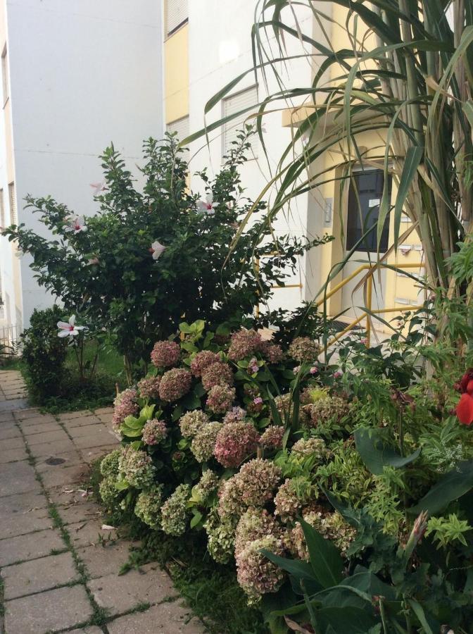 Jardim Das Flores Distrikt Distrikt Faro Exterior foto
